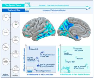The role of (non-)modifiable factors on tau-spatial-extent and level-rise.
