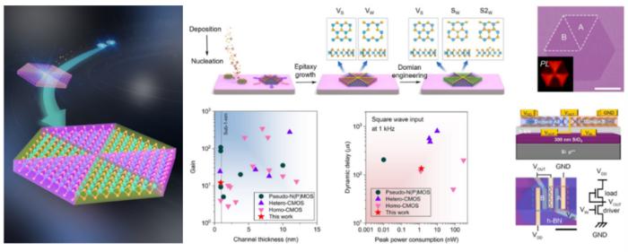 USTC Reports Epitaxy Growth of Semiconducting Monolayer WS2 Lateral Homojunctions