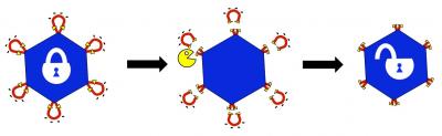 Modified Adeno-Associated Viruses Locked