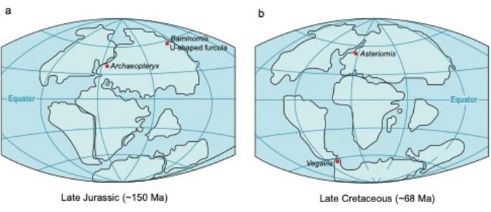 Paleogeographic maps with localities of significant bird fossils