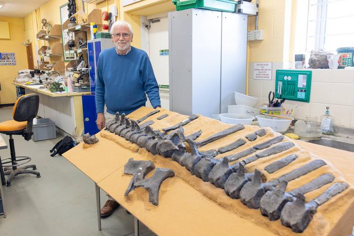 Dr. Jeremy Lockwood with the spinal column of Istiorachis macarthurae. credit University of Portsmouth