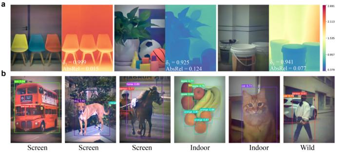 Fig.3 Application of the neural array imaging system for depth estimation and object detection.