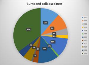 Pie chart with Percentage of storks admitted due to burnt and collapsed nests between 2010-2025.