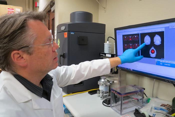 CLAMPS Holds Future of Neuroendocrine Research