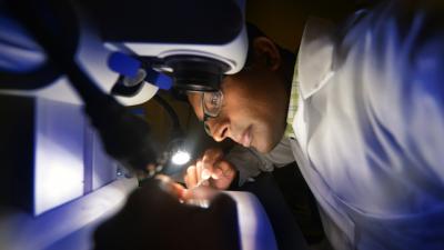 Dr. Graydon B. Gonsalvez, Medical College of Georgia at Georgia Regents University