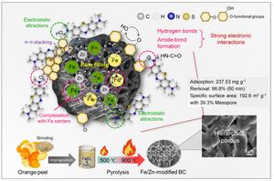 Hierarchical porous biochar with Fe/Zn co-activation derived from orange waste: enhanced methylene blue adsorption and mechanistic insights