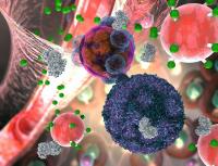 Nanoparticle Engineered at Georgia Tech May Replace Biopsy Needles in Detecting Transplant Organ Rej