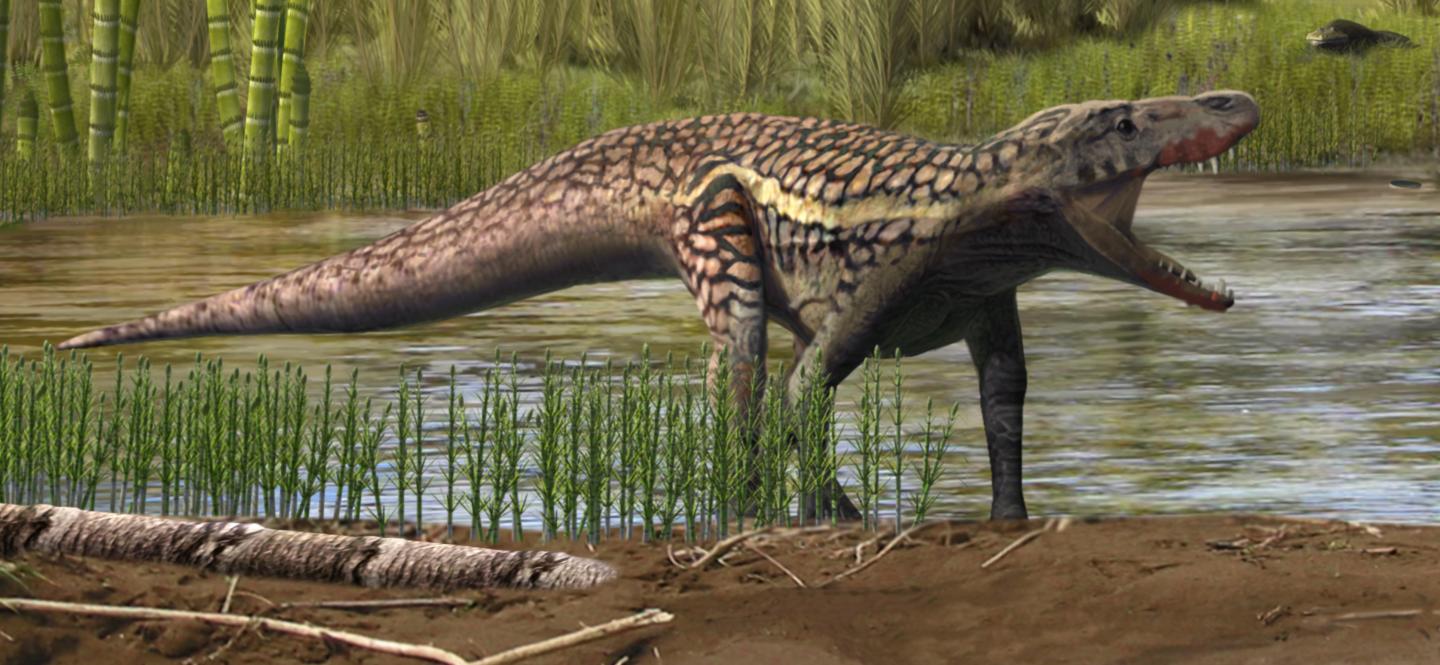 Ancient Reptile Tracks in the Pyrenees May Include Evidence of a New Type of Footprint