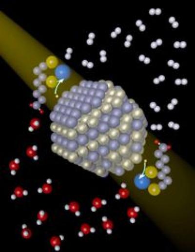 Cadmium Selenide Nanocrystals