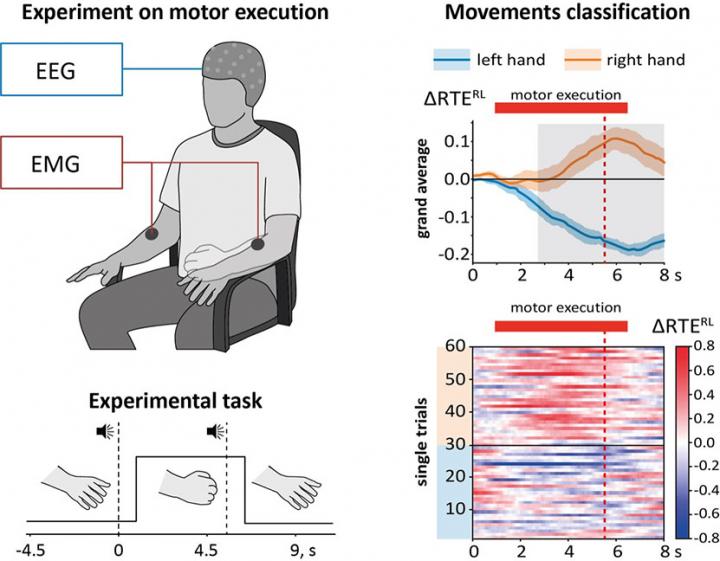 Neuro Experimental Study and Task