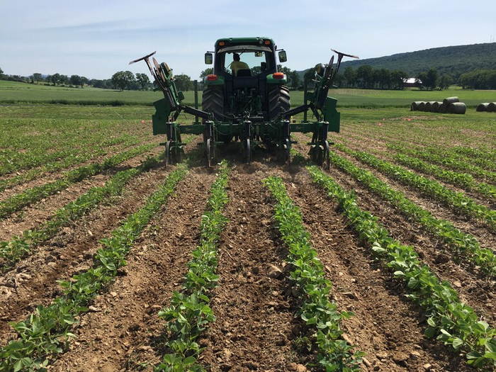 Tractor no till