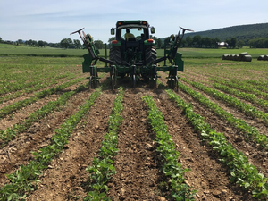 Tractor no till