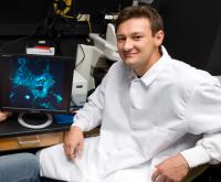 Todd McDevitt, Georgia Institute of Technology 