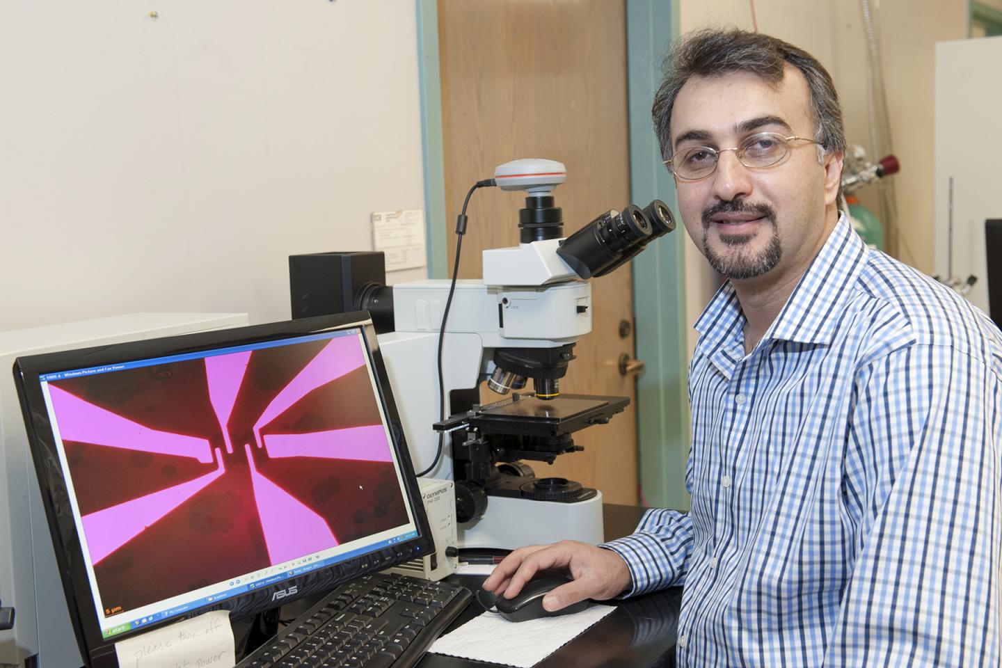 Amin Salehi-Khojin, University of Illinois at Chicago