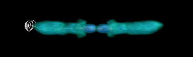 Animation: Magnetic Field Instabilities in Galactic Center's Jets