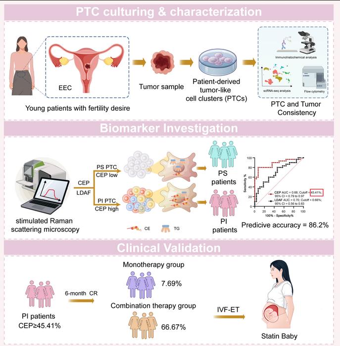 Cholesteryl Ester Accumulation as a Biomarker for Personalized Selection of Fertility-Preserving Therapies in Endometrioid Endometrial Carcinoma