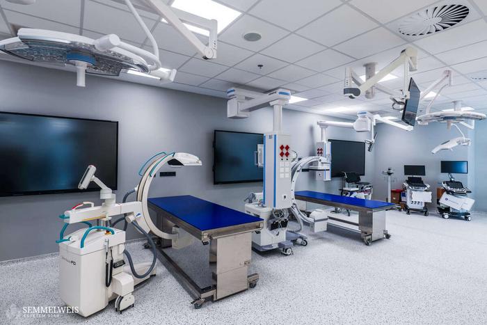 AICER inaugurated at Semmelweis University, Budapest, Hungary