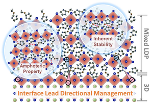 Directional Management of Interface Defects Achieved in Perovskite Solar Cells