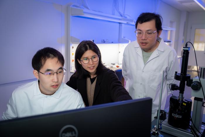 researchers