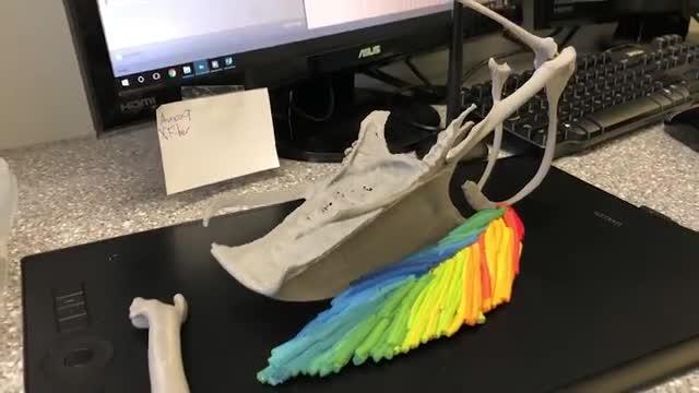 A Better 3D Model