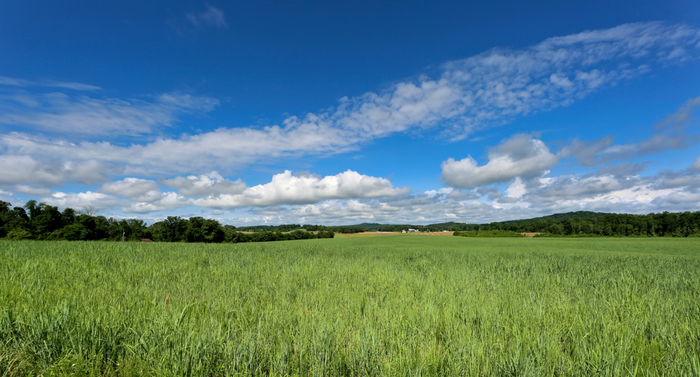 Agricultural decarbonization gets new emphasis at ORNL