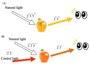 Fig 3 The design of a smart lighting system.