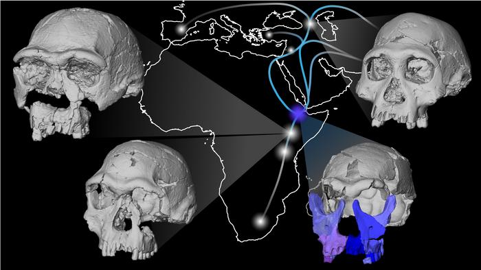 New face reconstruction from Ethiopia provides insights into origins and early migration of human ancestors