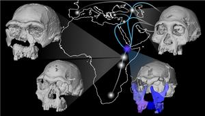 New face reconstruction from Ethiopia provides insights into origins and early migration of human ancestors