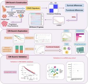 Flow chart of this study.