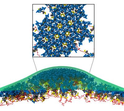 Scientists Find Missing Clue to How HIV Hacks Cells to Propagate Itself