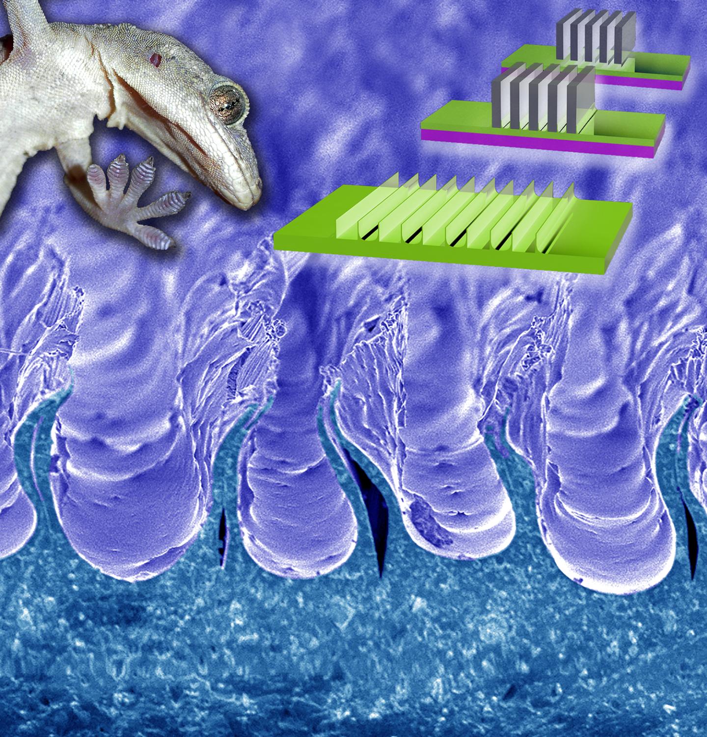 Gecko Adhesion Surface with Inset on How to Make It