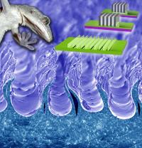 Gecko Adhesion Surface with Inset on How to Make It