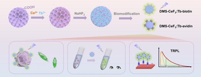 “Pomegranate-like” lanthanide nanoprobes achieve record sensitivity for early cancer screening