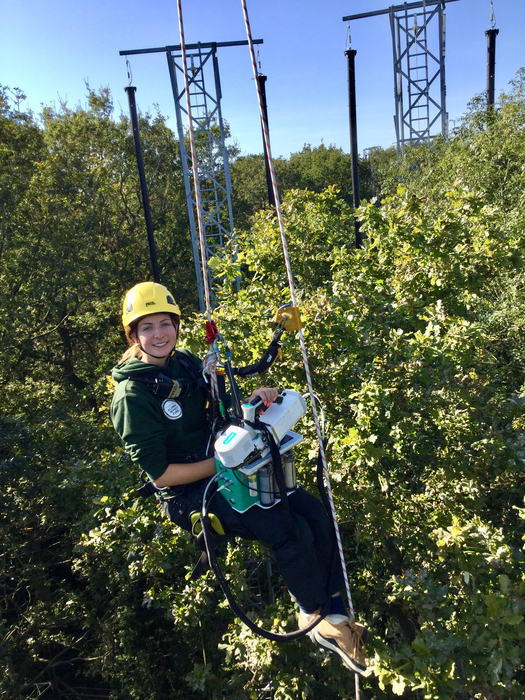 Increasing carbon dioxide in the atmosphere teaches old oaks new tricks