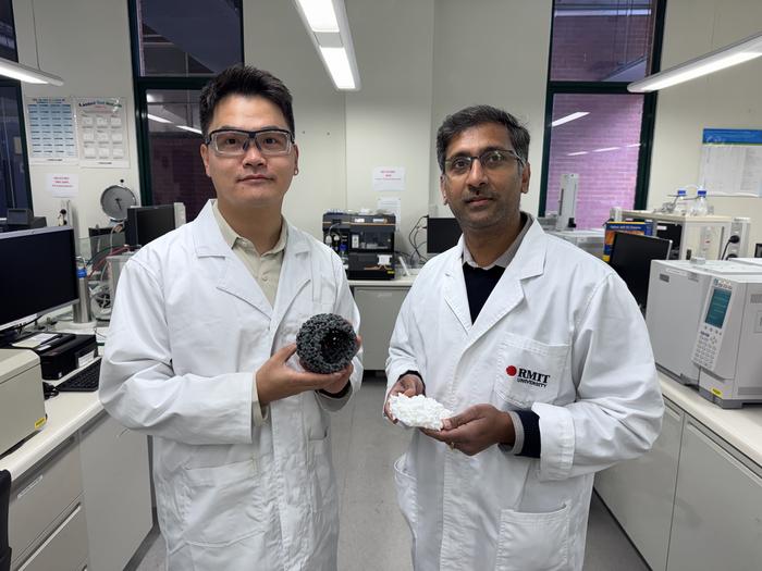 RMIT researchers