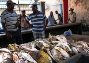 Victoria Market, Seychelles