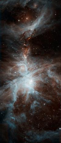 Orion Nebula in the Infrared