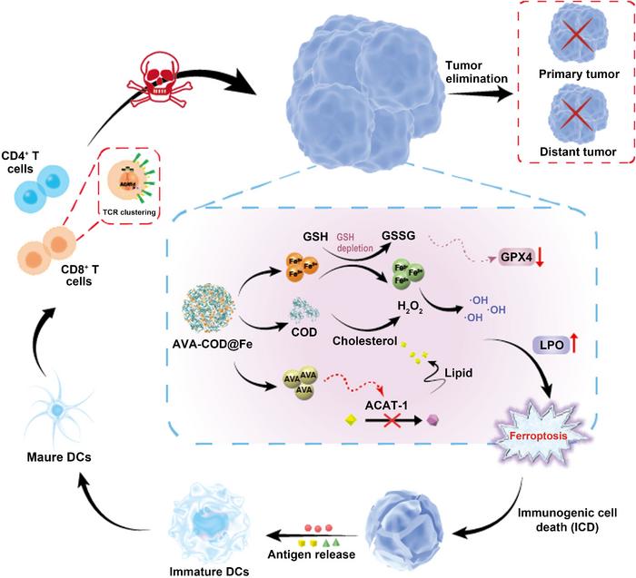 Schematic illustration of the AVA-COD@Fe therapeutic mechanism