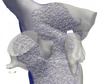 Image of iHEART Project