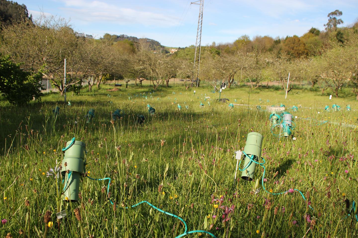 Cameras in Field