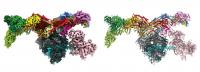 2D image of Mediator-bound transcription pre-initiation complex (Med-PIC)