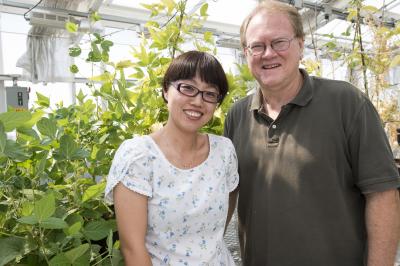 Gary Stacey and Yan Liang, University of Missouri