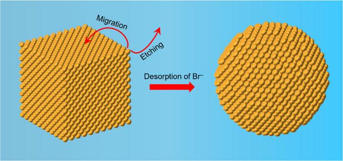 From Cube to Sphere: Mechanism of Shape Transformation in Gold Nanoparticles