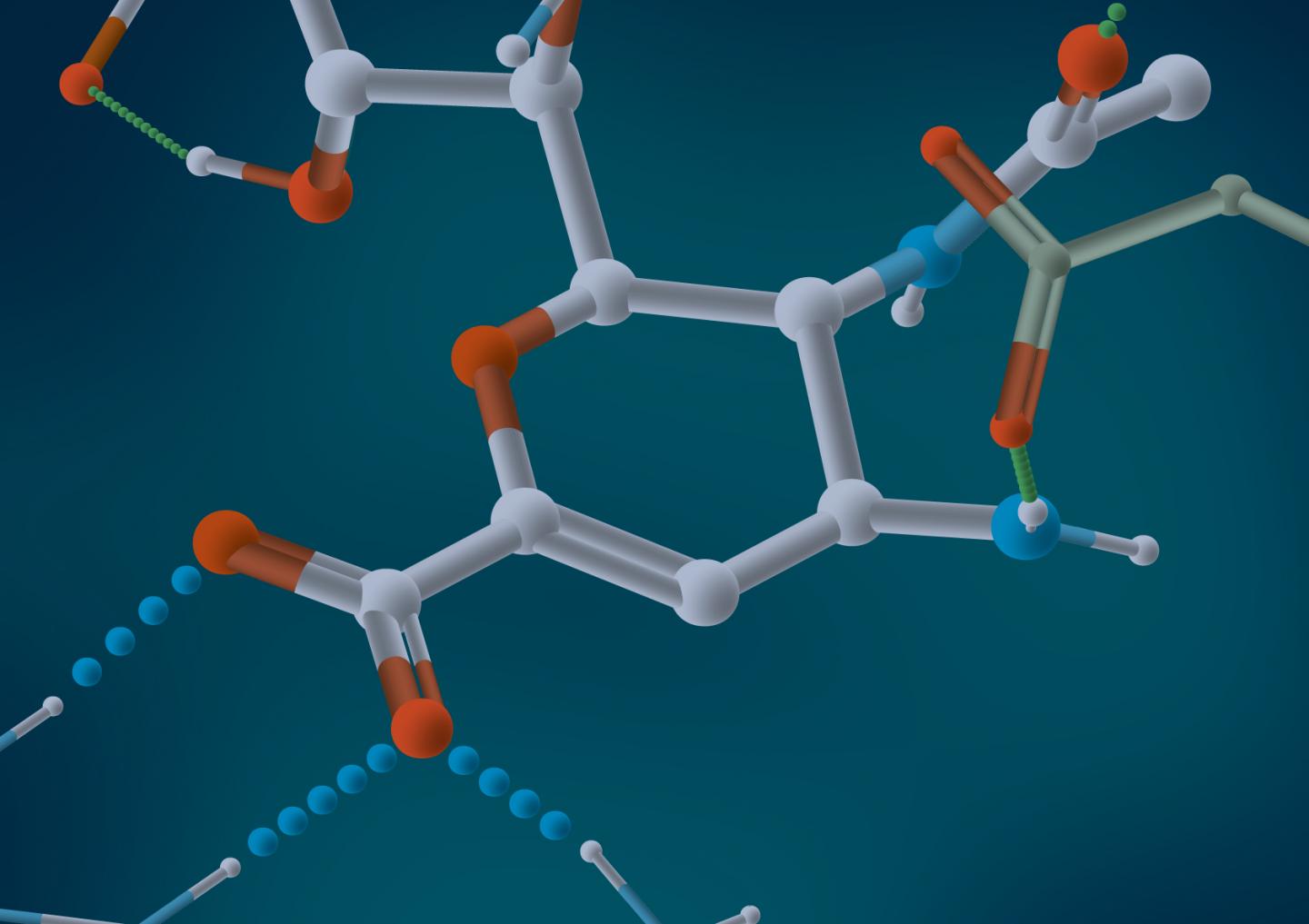 Small Molecule Fragment