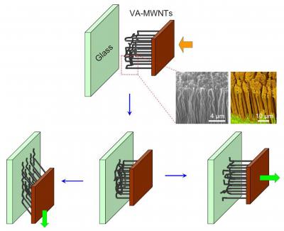 Nanotube Gripping