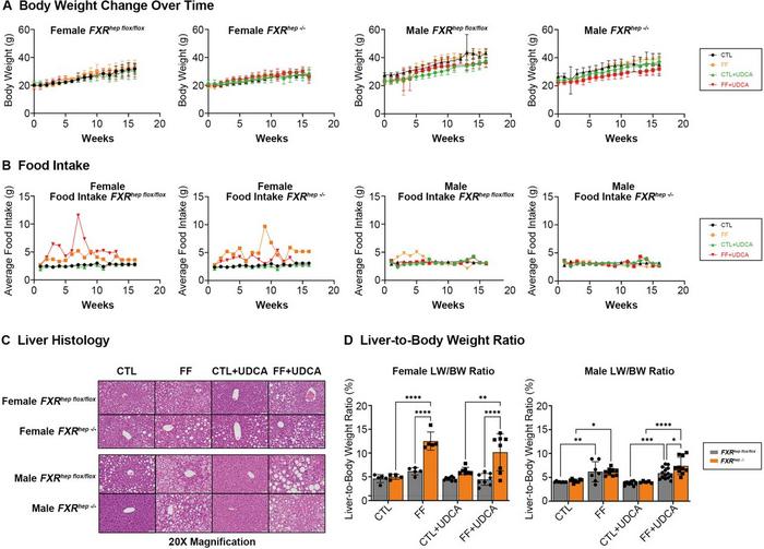 Phenotype characterisation at the end of 16 weeks on diets for FXRhep flox/flox and FXRhep-/- mice.