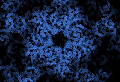 Electron Density Map of EV71