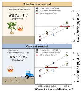 Sustainable woody biochar application for improving net ecosystem carbon budget, yield and soil properties in red pepper cropping systems: a two-year field study