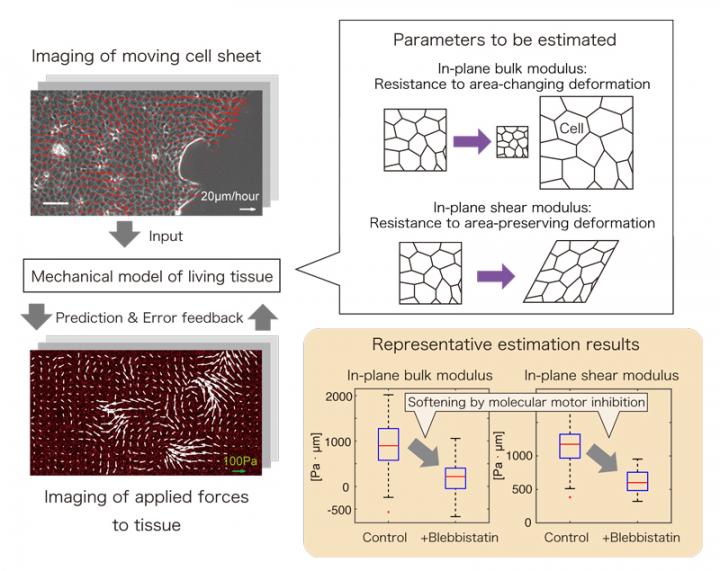 Overview of the Inference Algorithm