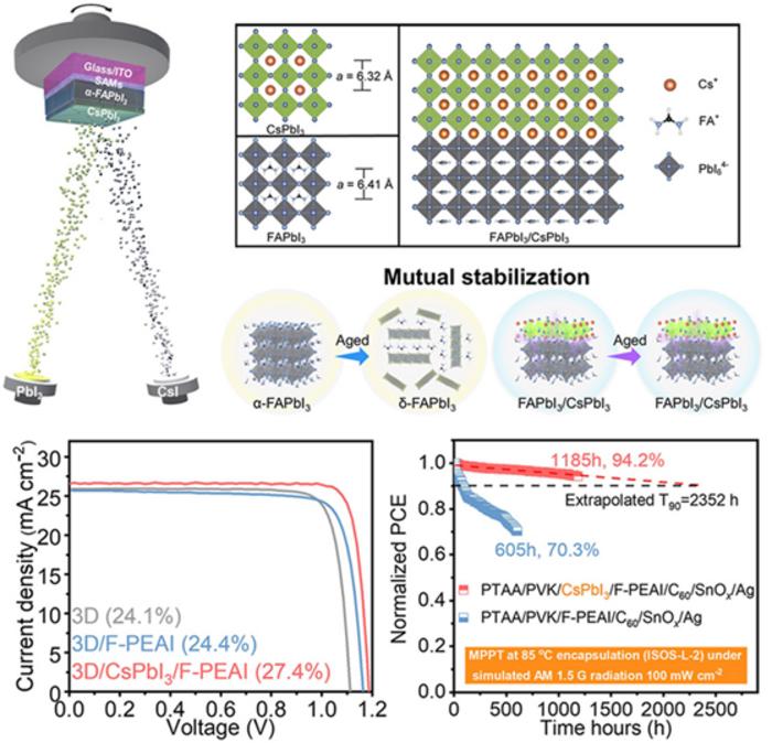 Mutual stabilization strategy enables efficient and durable perovskite solar cells.